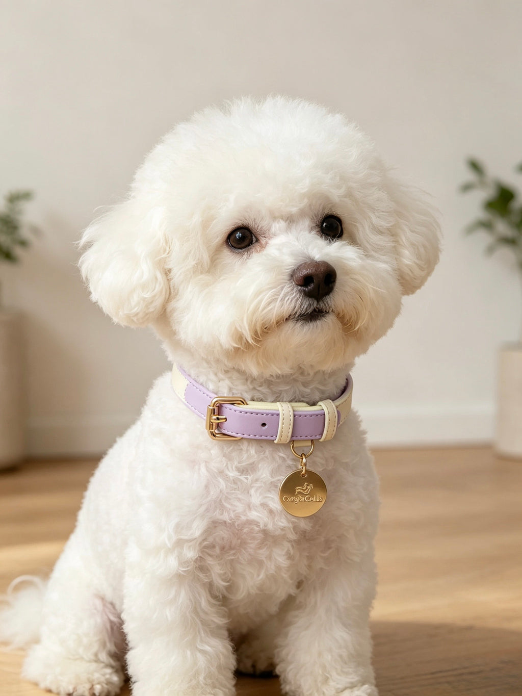 Collare Bicolore in Pelle Pastel (Lilla)