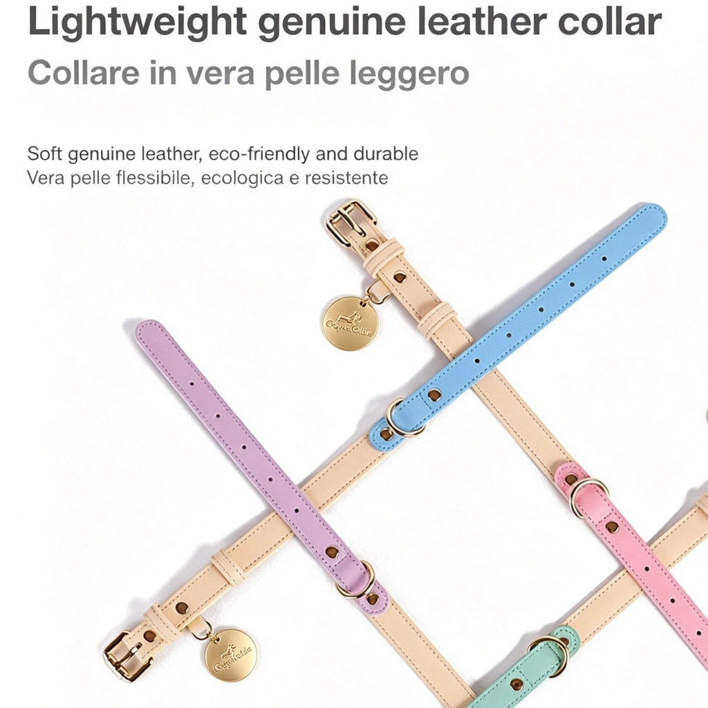 Collare Bicolore in Pelle Pastel (Verde)