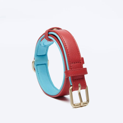 Collare bicolore in vegan leather (Rosso)