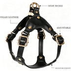 Pettorina per Cani Luxury con Finiture Dorate (Nero)