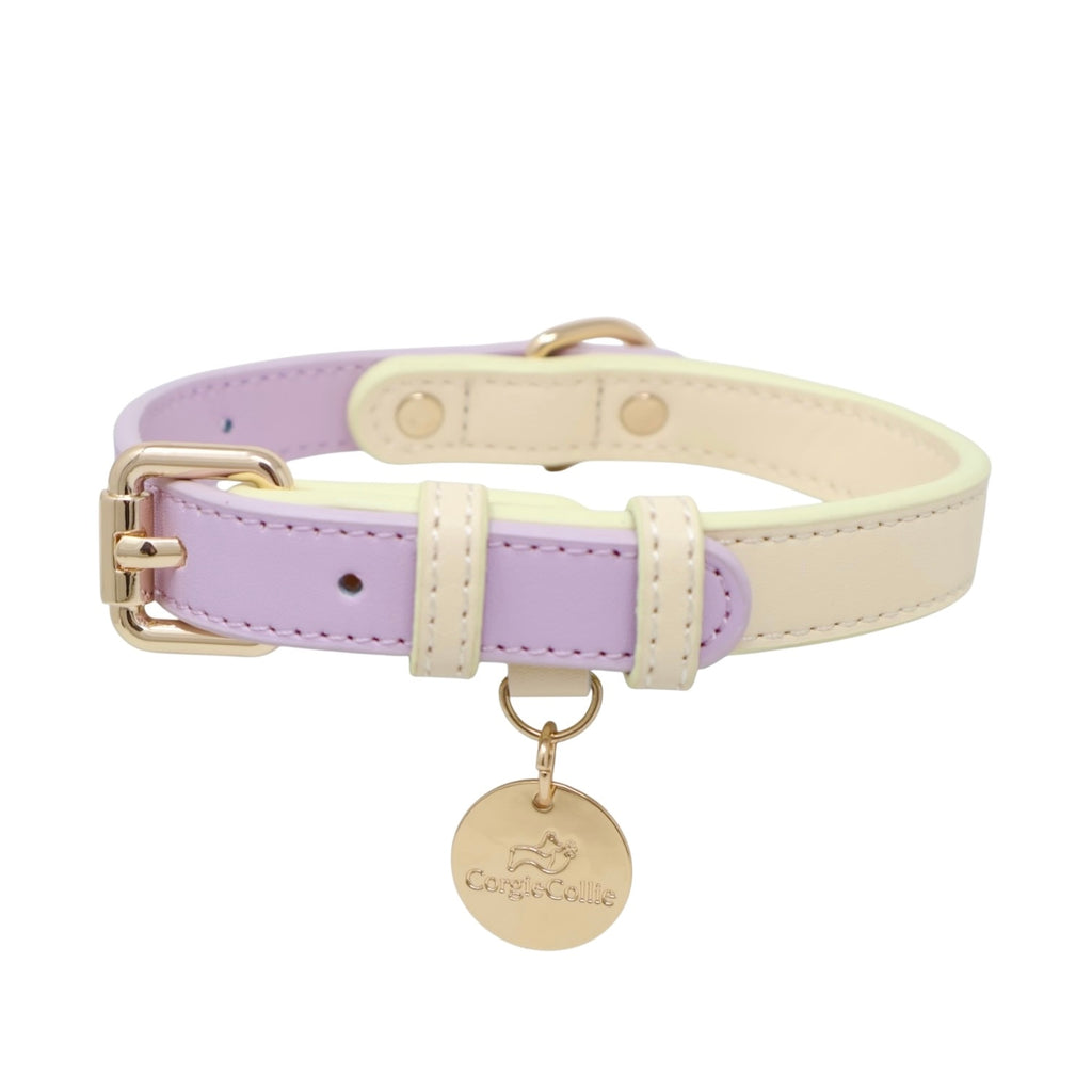 Collare Bicolore in Pelle Pastel (Lilla)