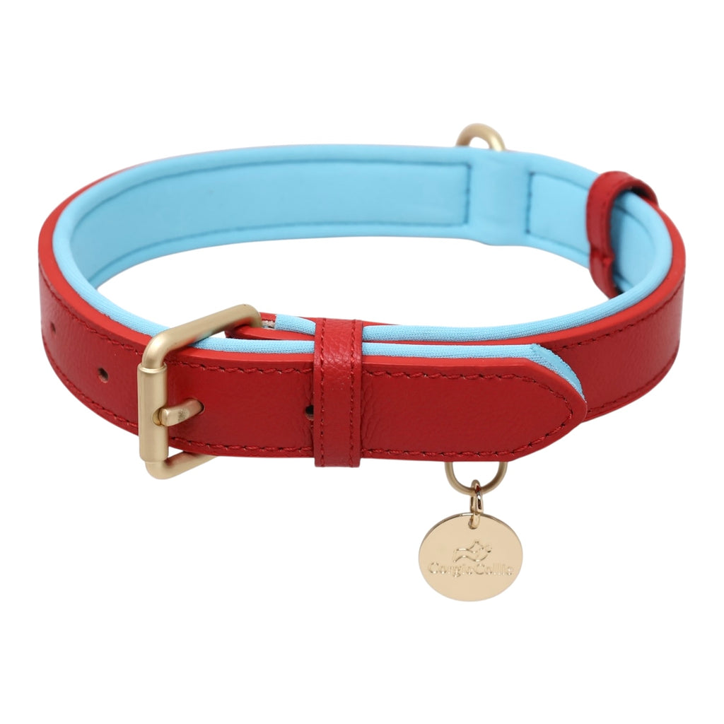 Collare bicolore in vegan leather (Rosso)