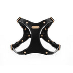 Pettorina per Cani Luxury con Finiture Dorate (Nero)