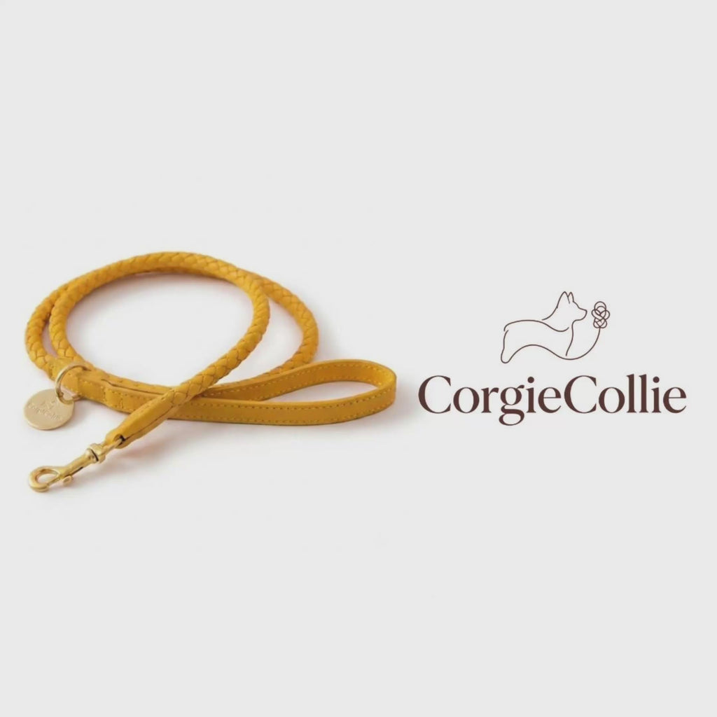 Guinzaglio per cani intrecciato (Giallo)